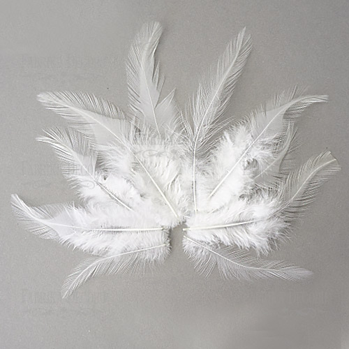 Feathers set with a tail "White"