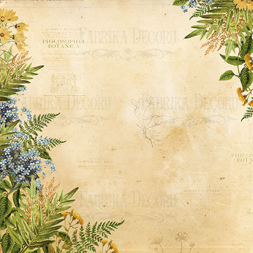 Doppelseitiges Scrapbooking-Papierset Botanik Sommer 20 cm x 20 cm, 10 Blätter - foto 10  - Fabrika Decoru