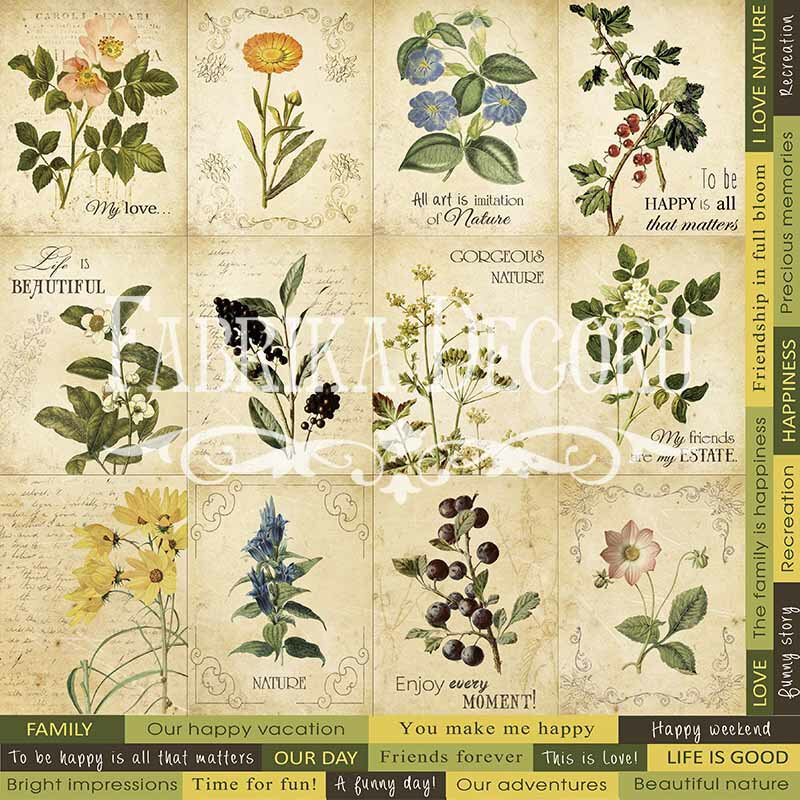 Arkusz z obrazkami do dekorowania Botany summer №3 - Fabrika Decoru
