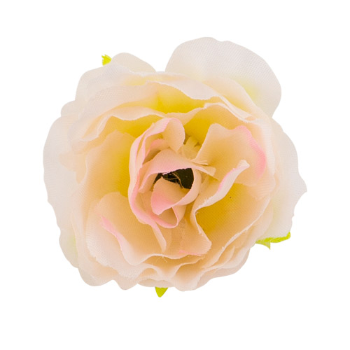 Eustoma Blumen, Creme mit rosa 1pc - foto 0  - Fabrika Decoru