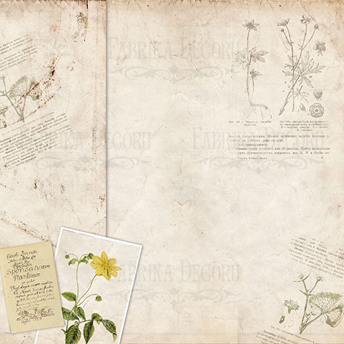 Zestaw papieru do scrapbookingu "Botany summer" 20cm x 20cm - foto 5  - Fabrika Decoru