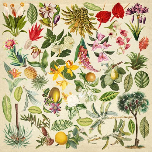 Blatt mit Bildern zum Schneiden. Sammlung "Botanik exotisch" - Fabrika Decoru