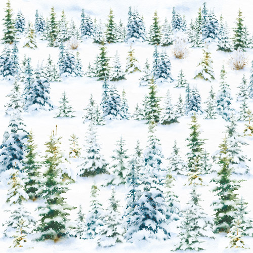 Doppelseitiges Scrapbooking-Papierset Country Winter, 20 cm x 20 cm, 10 Blätter - foto 6  - Fabrika Decoru