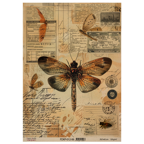 Zestaw jednostronnego kraftowego papieru do scrapbookingu Naturalist Notes 42x29,7 cm, 10 arkuszy  - foto 5  - Fabrika Decoru