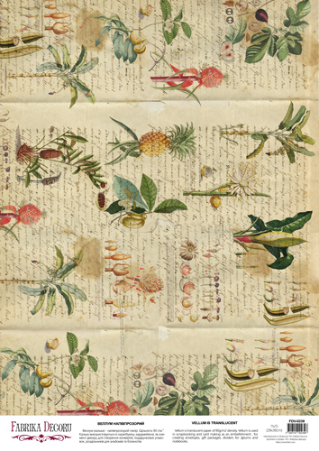 Deco Pergament farbiges Blatt Botany summer Tropics, A3 (11,7" х 16,5") - Fabrika Decoru