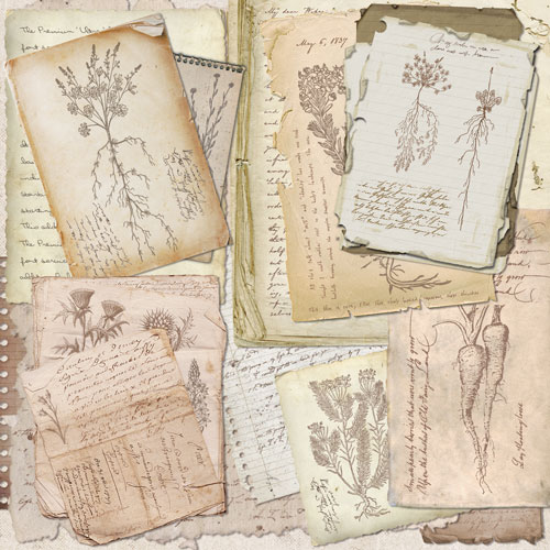 Doppelseitig Scrapbooking Papiere Satz Summer botanical story, 30.5 cm x 30.5 cm, 10 Blätter - foto 4  - Fabrika Decoru