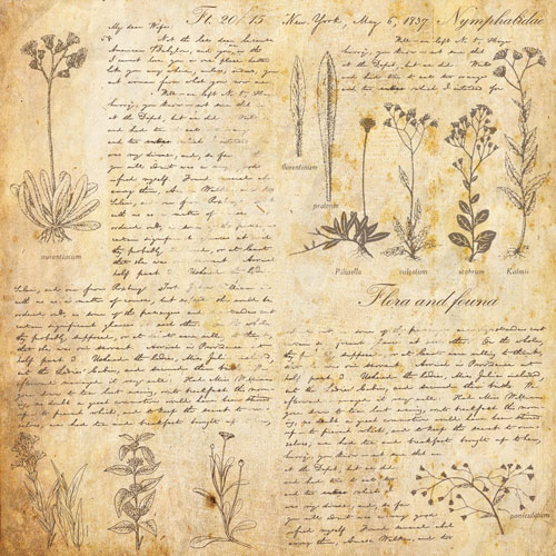 Doppelseitig Scrapbooking Papiere Satz Summer botanical story, 30.5 cm x 30.5 cm, 10 Blätter - foto 7  - Fabrika Decoru
