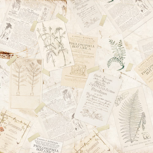Doppelseitig Scrapbooking Papiere Satz Botany Autumn Redesign, 30.5 cm x 30.5cm, 10 Blätter - foto 8  - Fabrika Decoru