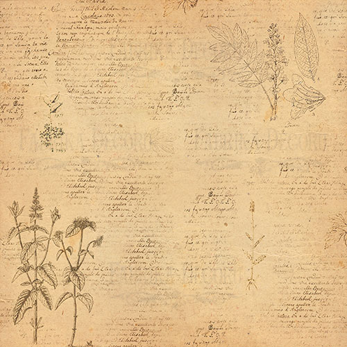 Zestaw papieru do scrapbookingu "Botany summer" 20cm x 20cm - foto 3  - Fabrika Decoru