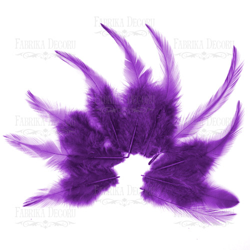 Federn mit Schwanz "Purple" - Fabrika Decoru