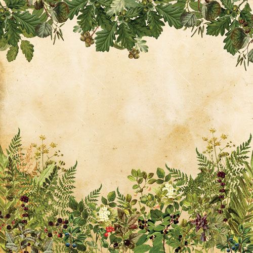 Doppelseitig Scrapbooking Papiere Satz Summer botanical story, 30.5 cm x 30.5 cm, 10 Blätter - foto 3  - Fabrika Decoru