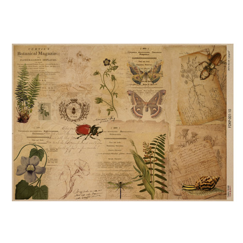 Einseitiges Kraftpapier Satz für Scrapbooking Botanical backgrounds 42x29,7 cm, 10 Blatt  - foto 9  - Fabrika Decoru
