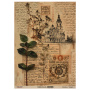 Zestaw jednostronnego kraftowego papieru do scrapbookingu Naturalist Notes 42x29,7 cm, 10 arkuszy 