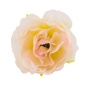 Eustoma Blumen, Creme mit rosa 1pc