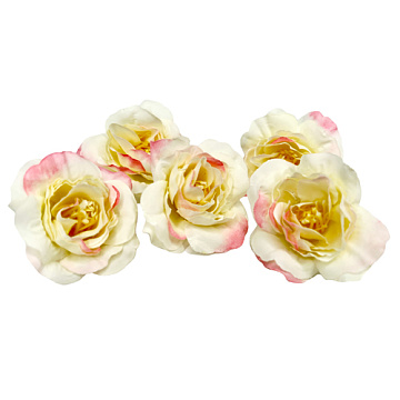 Tea rose flower, Beige with pink, 1pc