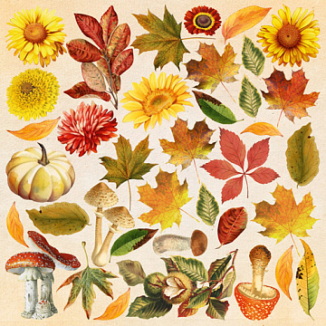 Sheet of images for cutting. Collection Bright Autumn 8"x8"