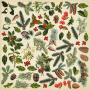 Arkusz z obrazkami do dekorowania "Winter botanical diary"