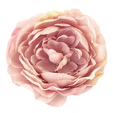 Pfingstrose Blume maxi Beige und Rosa, 1St