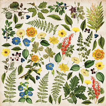 Sheet of images for cutting. Collection Summer Botanical story 12"x12"