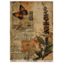 Zestaw jednostronnego kraftowego papieru do scrapbookingu Naturalist Notes 42x29,7 cm, 10 arkuszy 