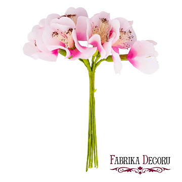 Blumenstrauß aus Karpatenglocken, Farbe Rosa, 6 St.