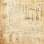 Doppelseitig Scrapbooking Papiere Satz Summer botanical story, 30.5 cm x 30.5 cm, 10 Blätter