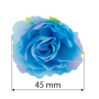 Eustoma Blumen, Blau mit Rosa 1St.