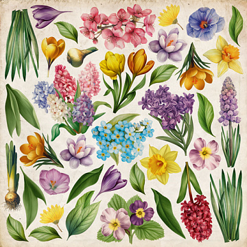 Sheet of images for cutting. Collection Spring Botanical Story 8"x8"