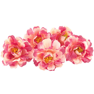 Kwiat piwonii różowo-brzoskwiniowy, 1 szt