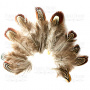 Pheasant feathers set "Brown"