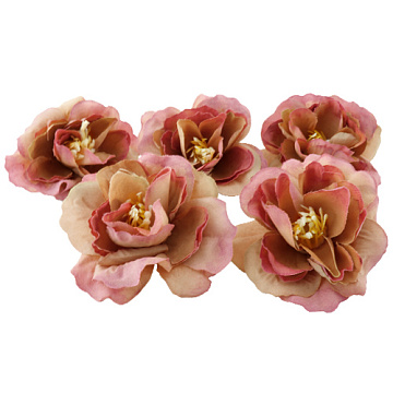 Tea rose flower, Pink-beige, 1pc