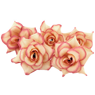 Miniature rose flower, Cream with pink, 1pc