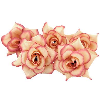 цветок миниатюрной розы кремовый с розовым, 1шт
