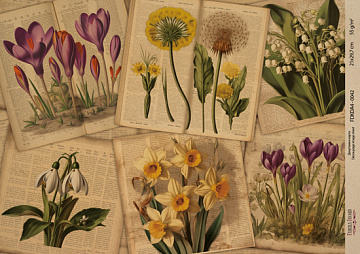 Kraft decoupage paper, 29,7x21cm, “Botanica Kraft”, #0042