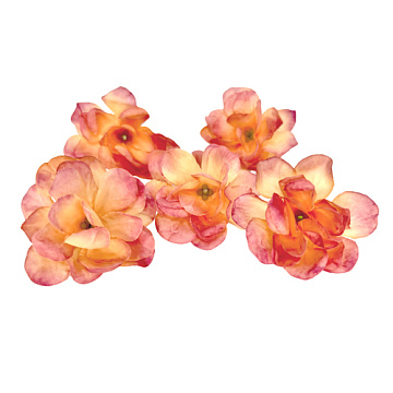 Rosenblüten, Hagebutten Koralle, 1Stk