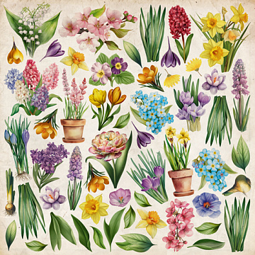 Sheet of images for cutting. Collection Spring Botanical Story 12"x12"