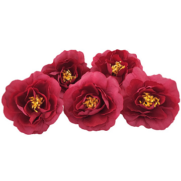 Kwiat róży herbacianej, Wiśnia, 1 szt