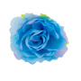 Eustoma Blumen, Blau mit Rosa 1St.